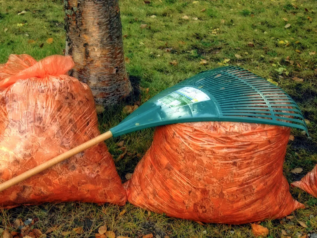 Autumn Checklist: 12 Jobs to Do in Your UK Garden Before Winter