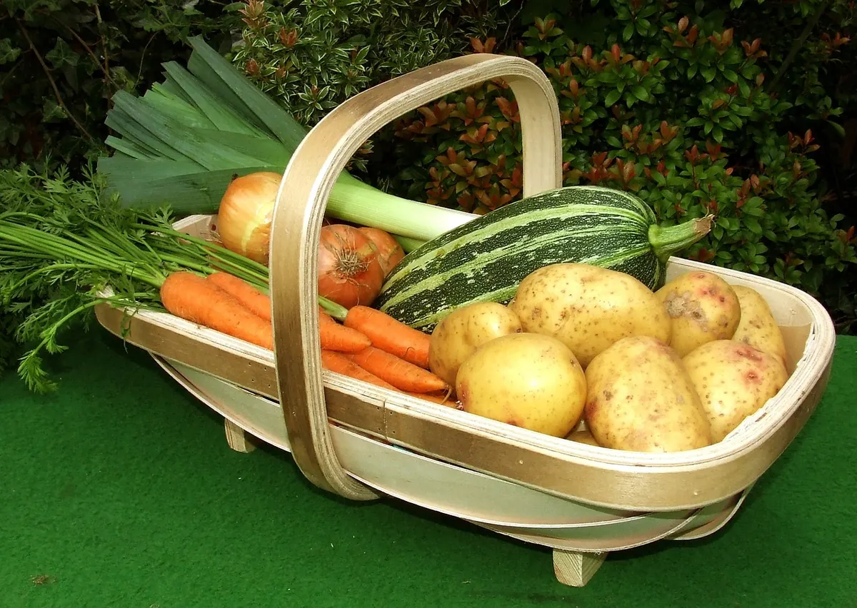 Container Carrots: A Step-by-Step Guide for Small Spaces